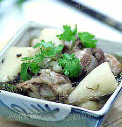 春季“挑食” 挑出健康