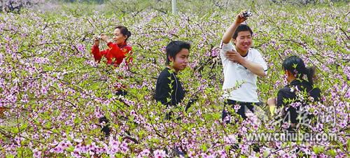 ������ʳ��