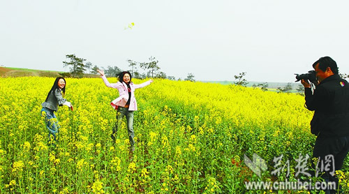 ������ʳ��