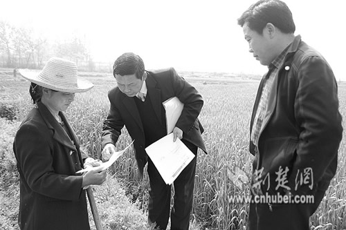 ������ʳ��