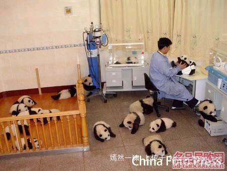 湖北美食网